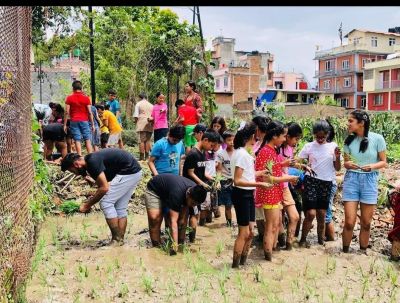 interactive 400x303 1.jpg